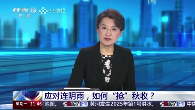 【主流媒體看周口】面對連陰雨 如何“搶”秋收？