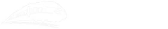 中華龍都網(wǎng)